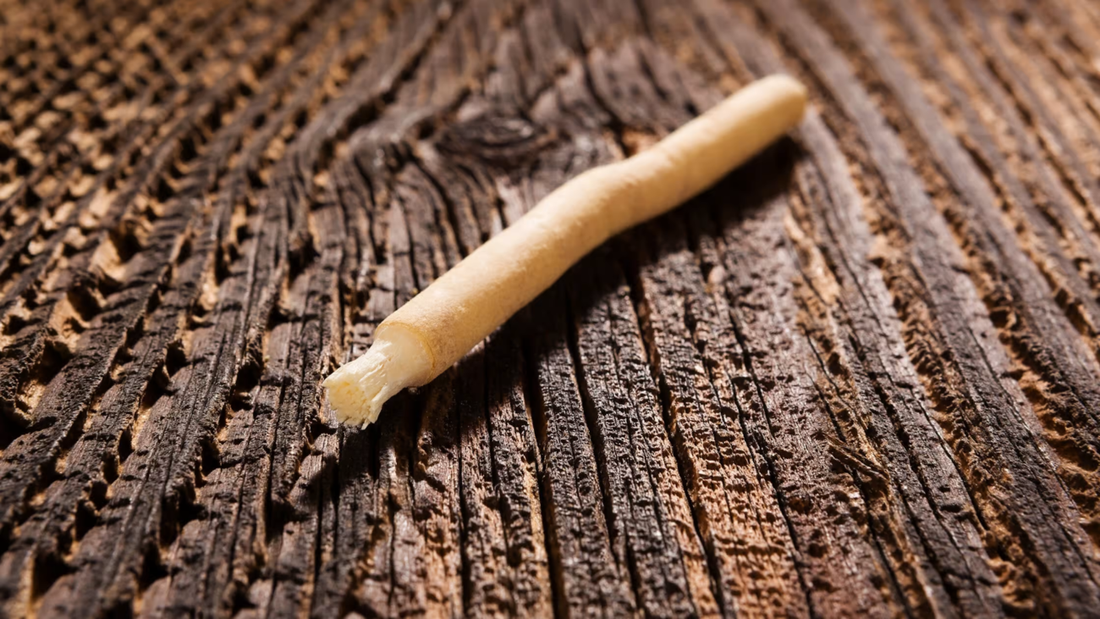 Siwak naturel en gros plan