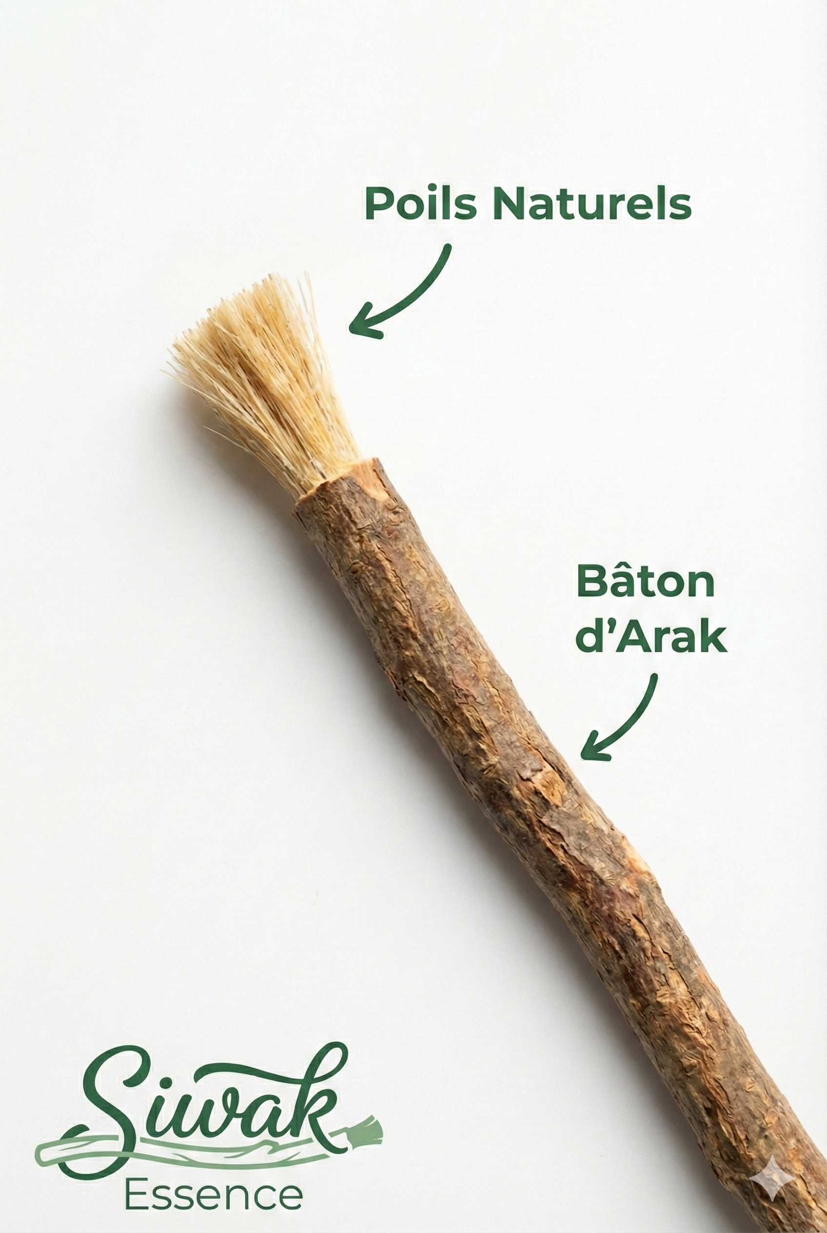 🌿Pack Complet Siwak (x3) - Naturel